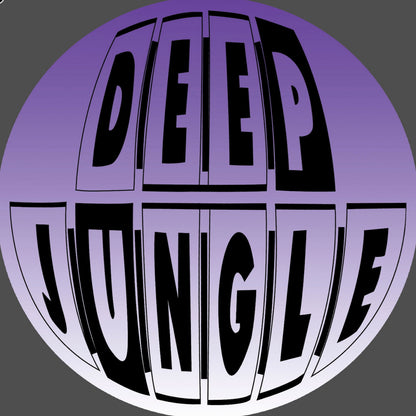 Devious D - The Groove - Deep Jungle (12")