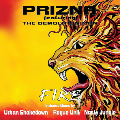 Prizna - Fire - Kniteforce Records (12")