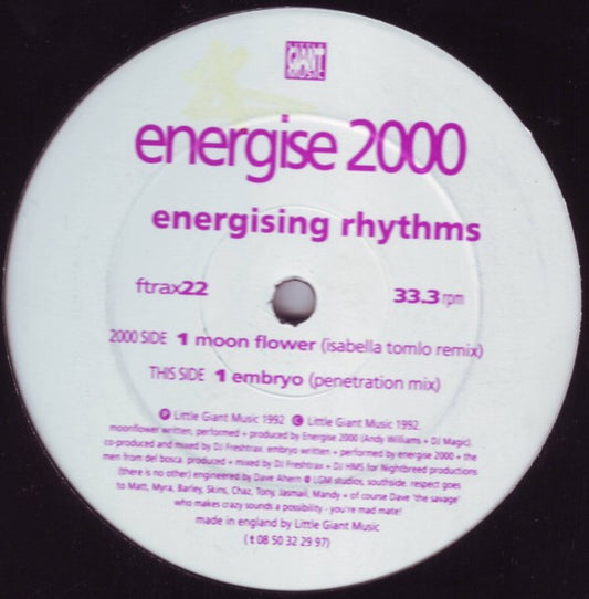 Energise 2000 - Energising Rhythms - Little Giant Music (12")
