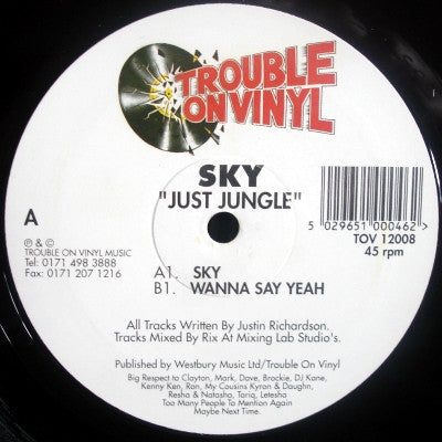 Just Jungle - Sky - Trouble On Vinyl (12")