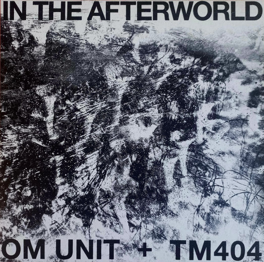 Om Unit - In The Afterworld - Acid Test (12")