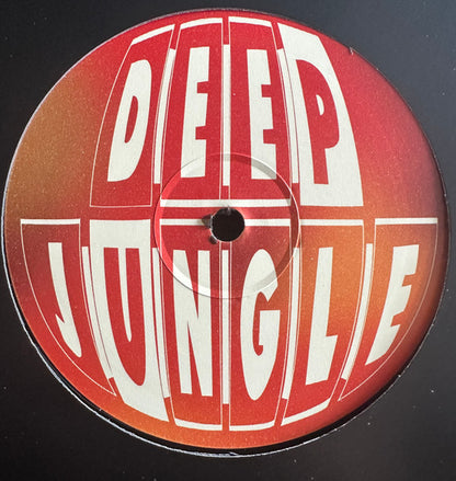Subjects - Mash Up / Spaced Out / Fantasy / Rhodes Tune - Deep Jungle (2x12")