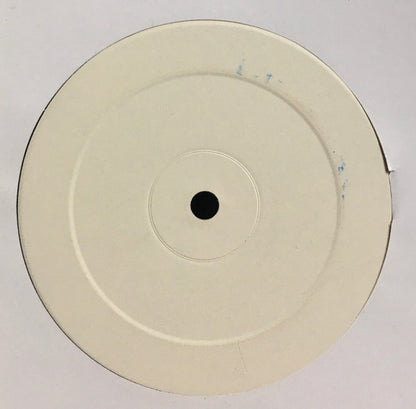 Vedic - Presents Rhythmic Intelligence - Sub Rosa (2x12")