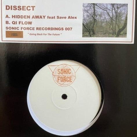 Dissect - Hidden Away / Qi Flow (12")