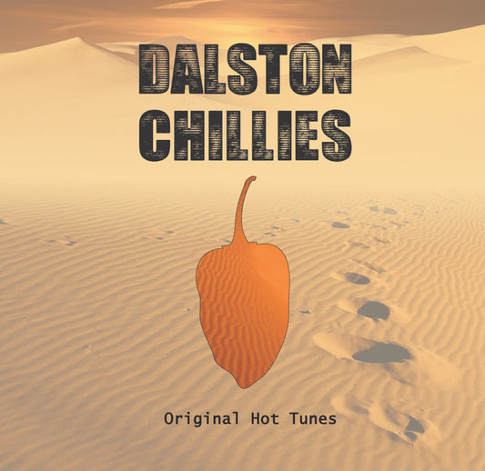 Dalston Chillies - Volume 5 - The Reminiscence EP (12")